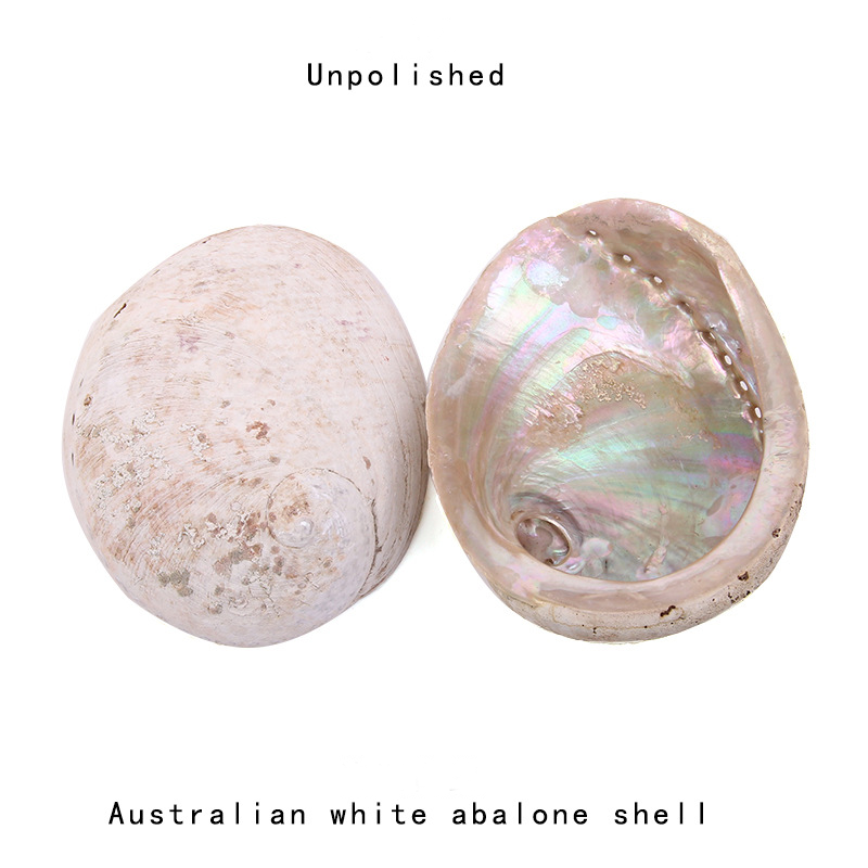 12-16CM Tự Nhiên New Zealand V - đánh giá và giá Jewelry Making New Zealand
