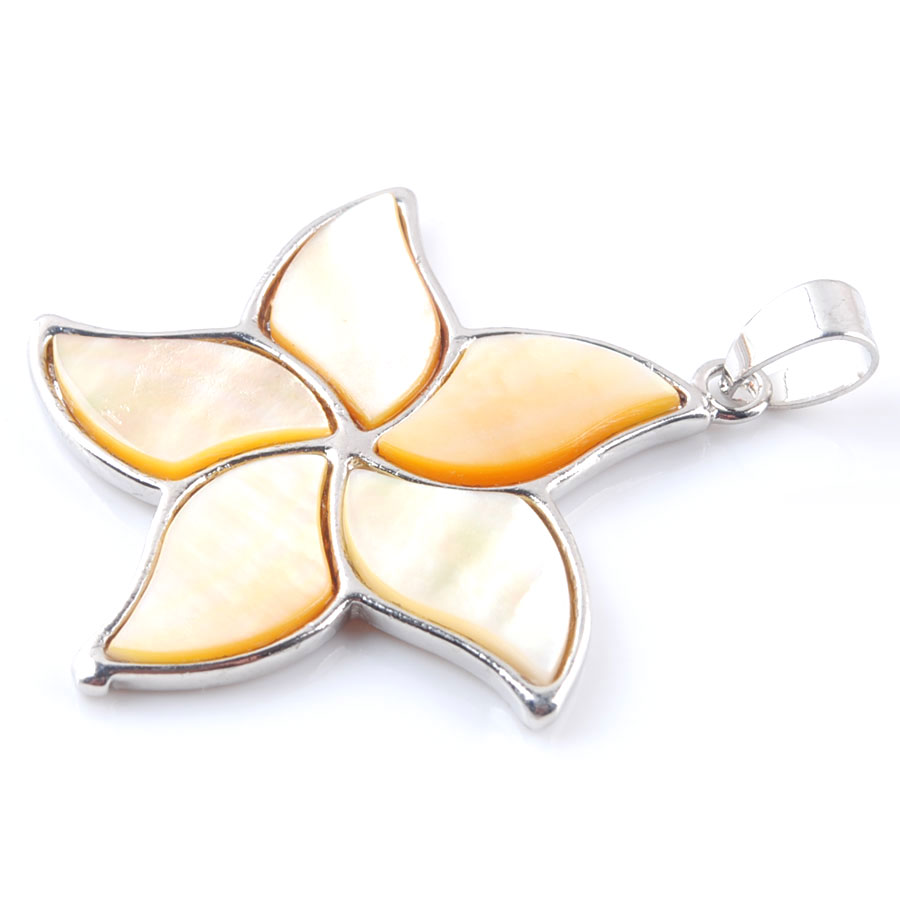 5pcs Natural New Zealand Abalo - đánh giá và giá Jewelry Making New Zealand